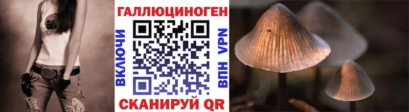 наркота  Сланцы  Псилоцибиновые грибы Psilocybe 